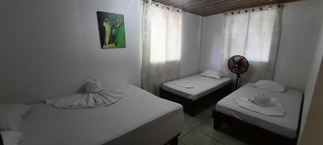 Bed and Breakfast Casa Caribe à Tortuguero Extérieur photo