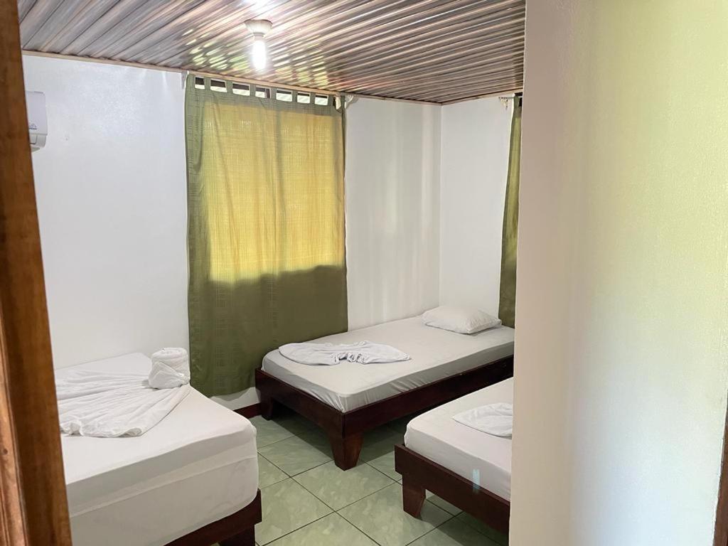 Bed and Breakfast Casa Caribe à Tortuguero Extérieur photo