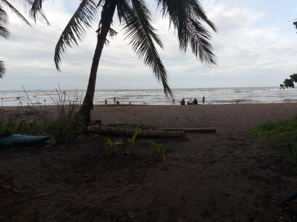Bed and Breakfast Casa Caribe à Tortuguero Extérieur photo