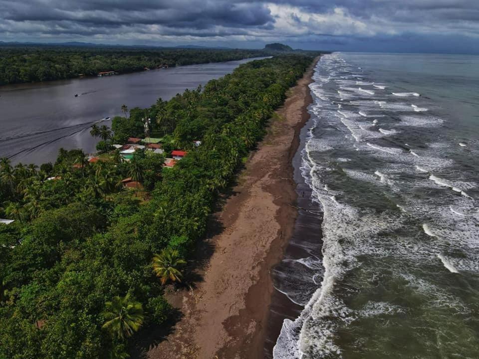 Bed and Breakfast Casa Caribe à Tortuguero Extérieur photo