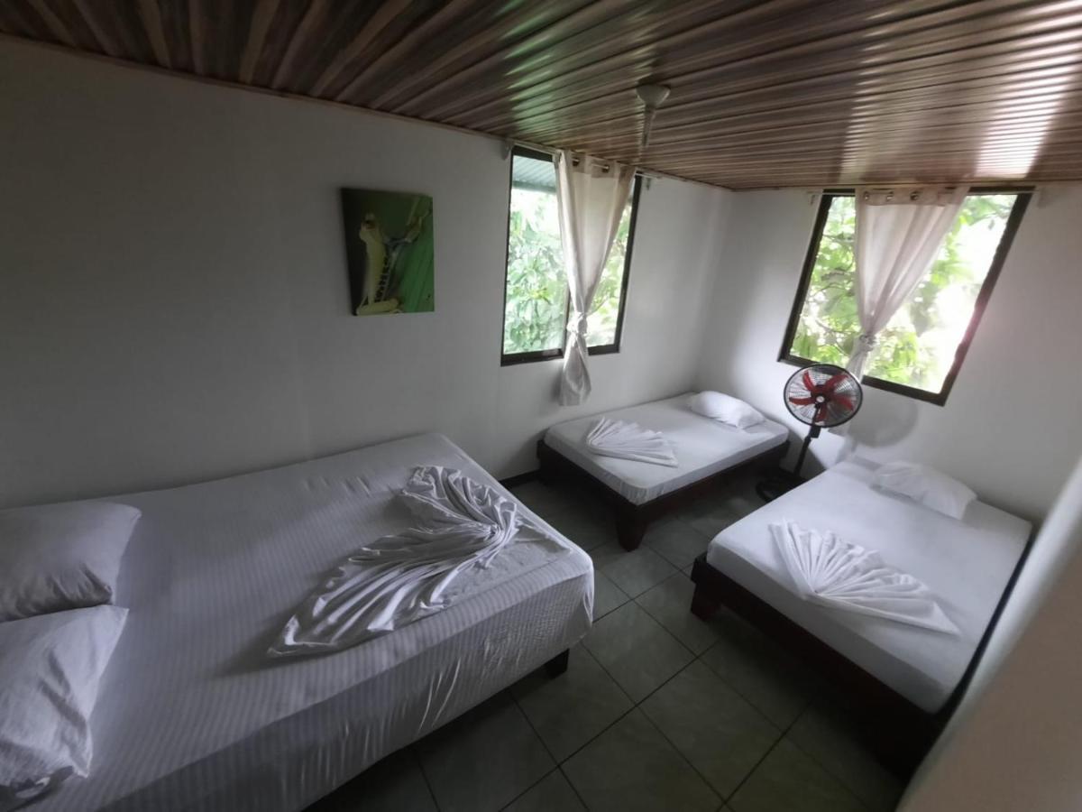 Bed and Breakfast Casa Caribe à Tortuguero Extérieur photo