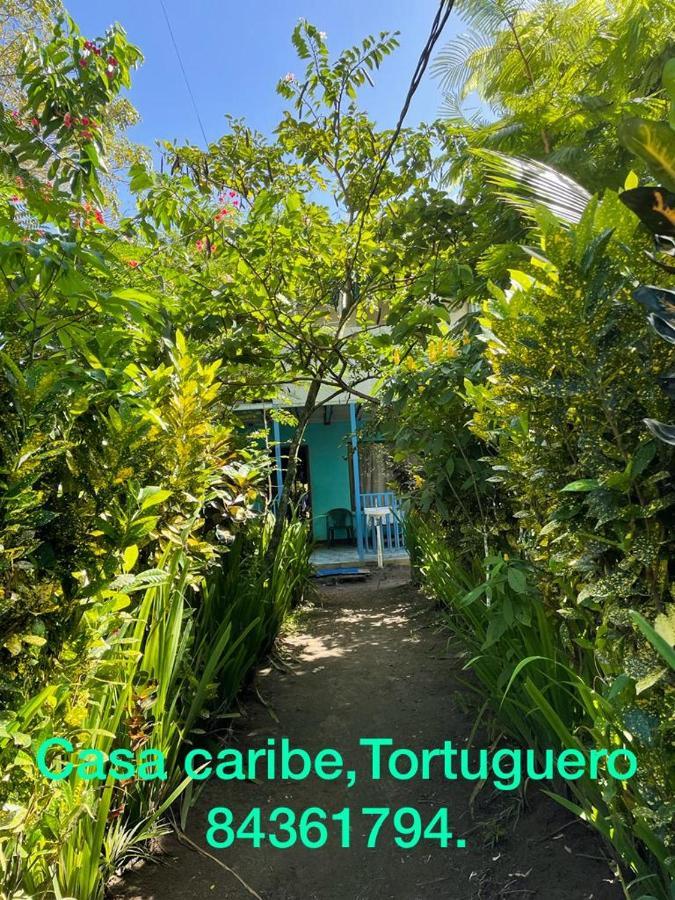 Bed and Breakfast Casa Caribe à Tortuguero Extérieur photo